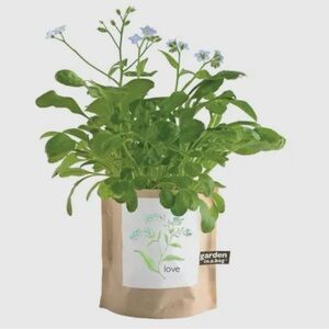 Garden in a Bag Forget-Me-Nots